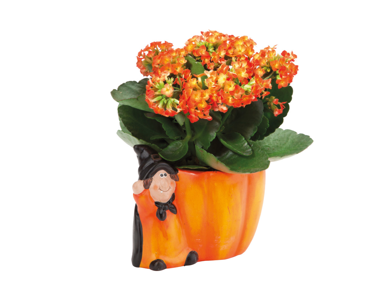 Halloween Ceramic1