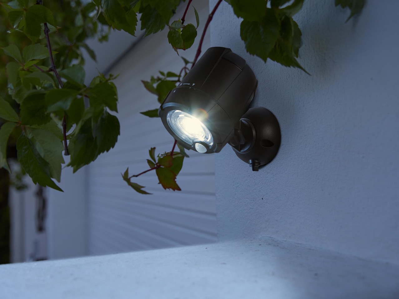 LED Light