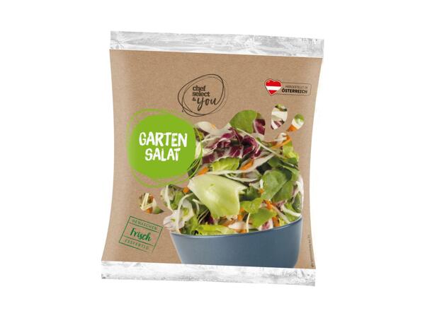 Garten Salat