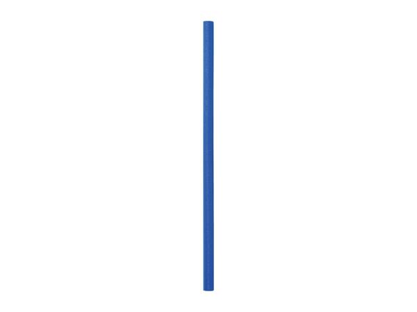 Blue Pool Noodle