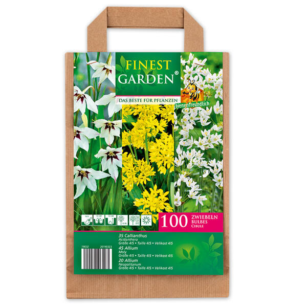 Blumenzwiebeln in Papiertasche