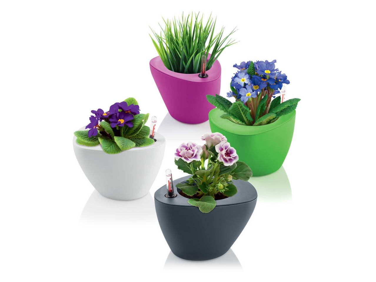 FLORABEST(R) Self-Watering Plant Pot