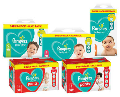 BABY DRY WINDELN/ PANTS MAXI PACK