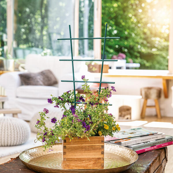 Blumenstütze