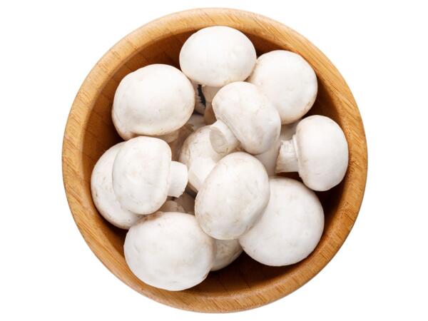 Champignons weiß