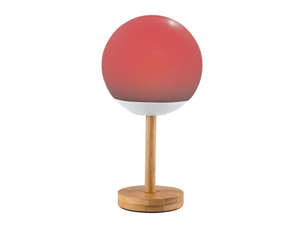 Table Lamp for Outdoor Use