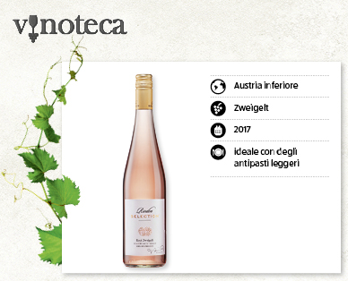 Rosé Zweigelt RIEDEN SELECTION
