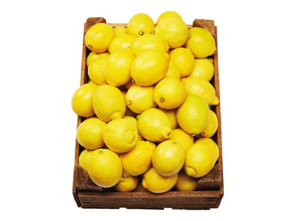 Ekologiska citroner