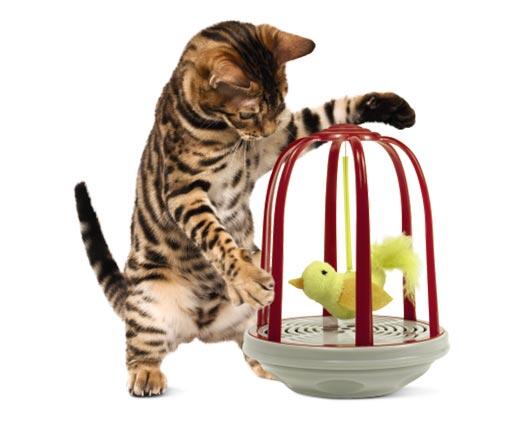 Heart to Tail
Busy Ball or Bird in a Cage Pet Toy