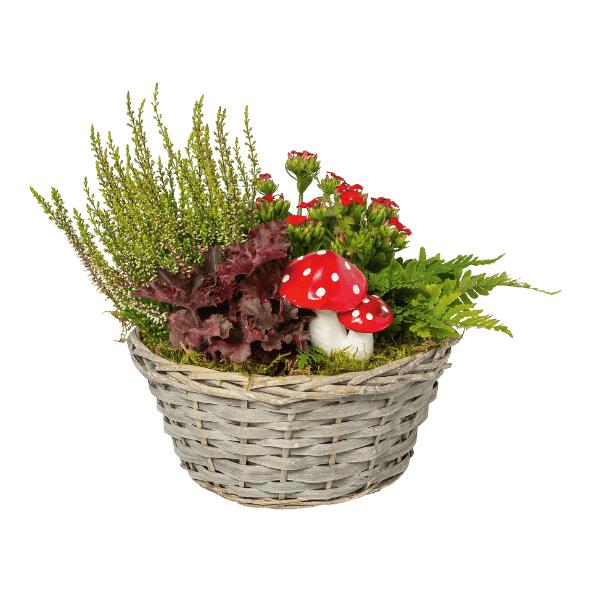 Herfstcompositie