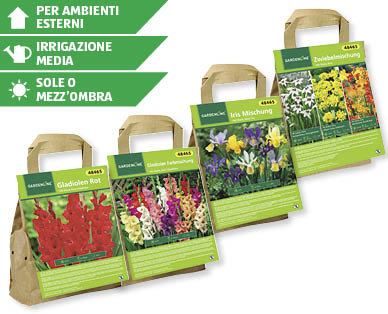 Bulbi di fiori GARDENLINE(R)