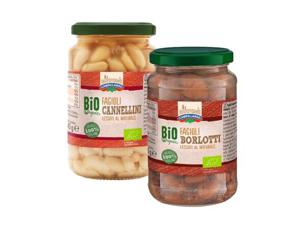 Organic cannellini or borlotti beans