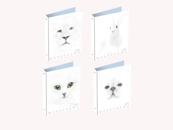 Ring Binder A4 White