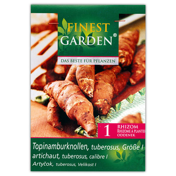 Zwiebeln für den Gemüsegarten