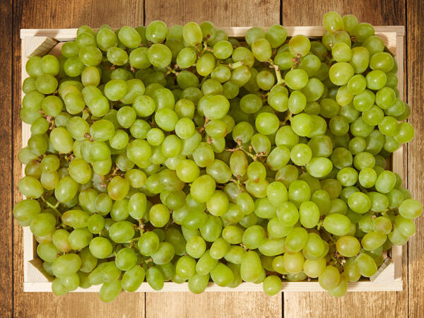 Raisin blanc sans pépins