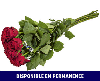 ROSES FAIRTRADE MAX HAVELAAR