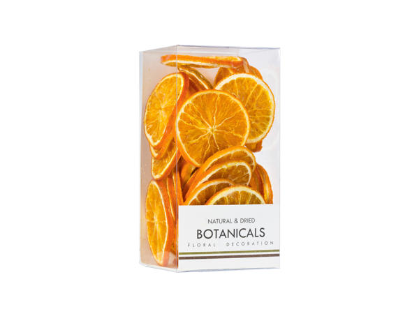 Botanical Decorations