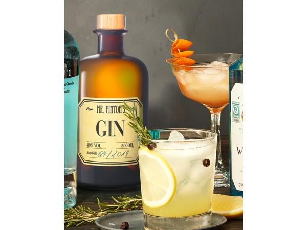 Gin Mr. Finton's