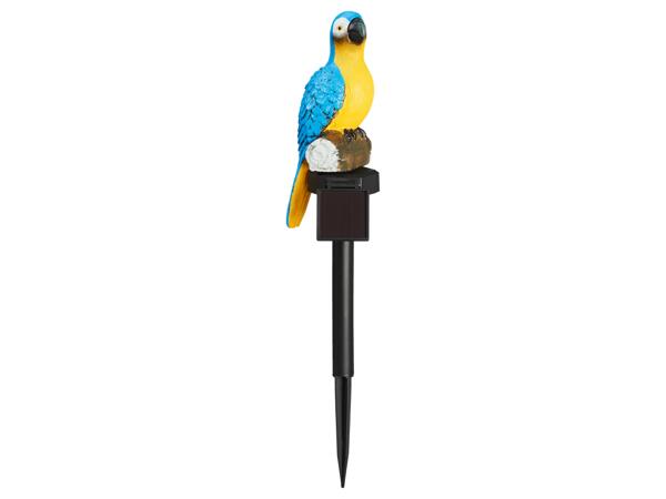 Decorative Solar Light