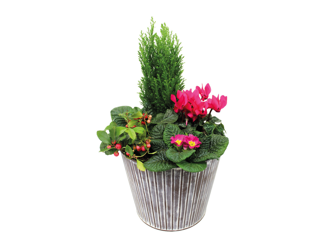 Warm Colours Planter1