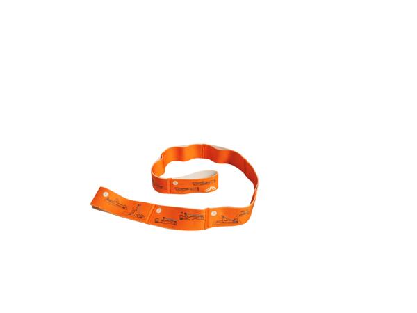 Fitness Accessories