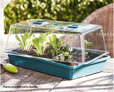 Seed and Cutting Greenhouse