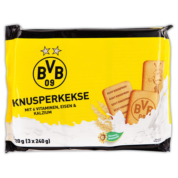 FCB/BVB FanMix