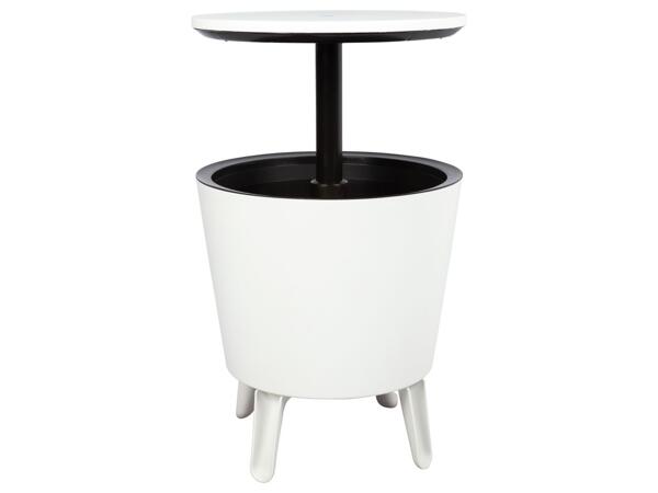 Party Table with Ice Bucket