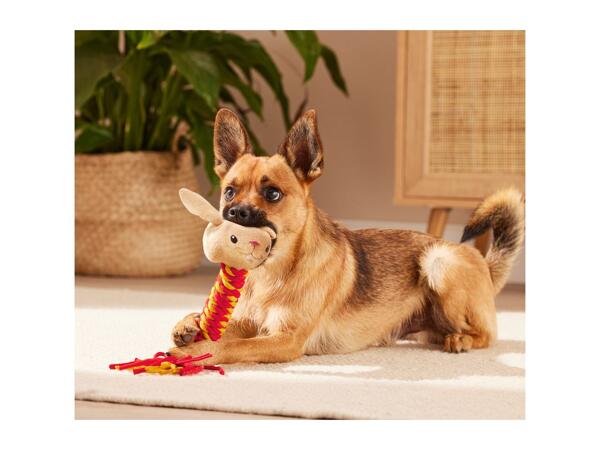 Zoofari Dog Rope Toy / Squeaky Toy