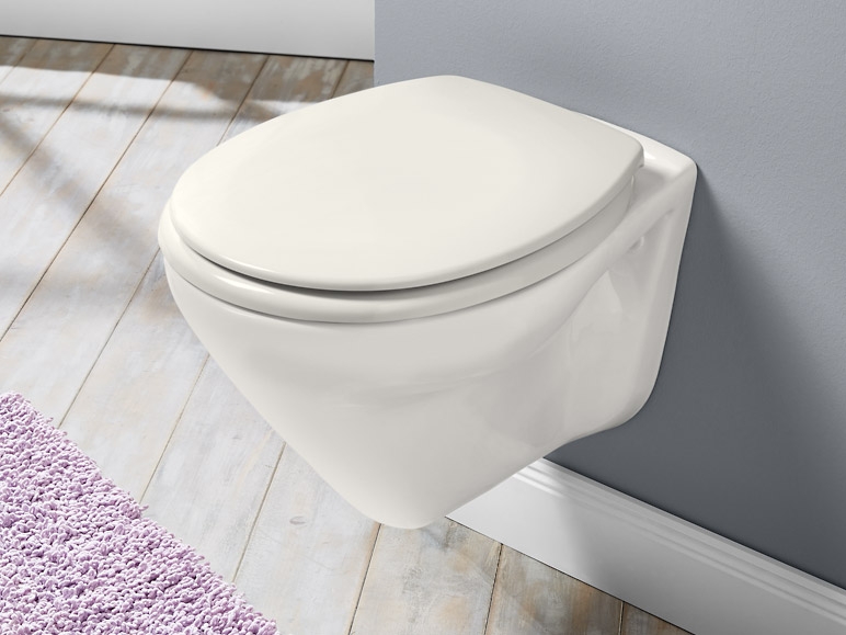 Toilet Seat