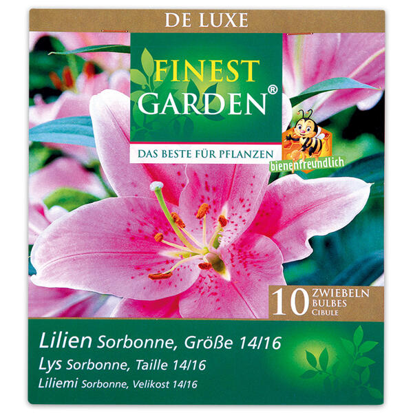 Exklusive Blumenzwiebeln "De Luxe"