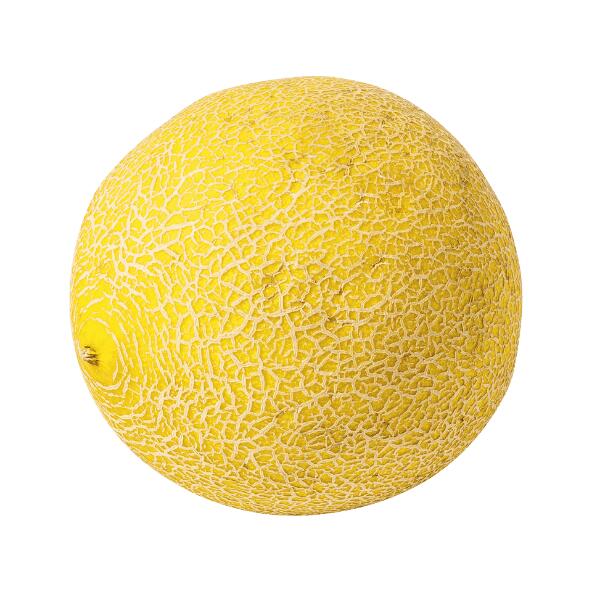 Galiamelone