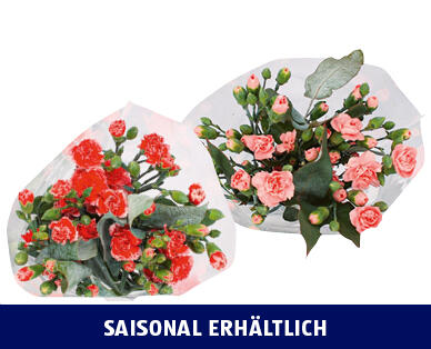 SPRAYNELKENBOUQUET