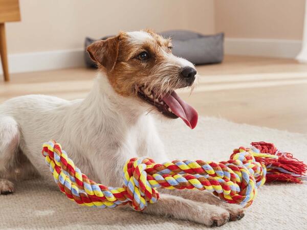 Dog Rope Toy