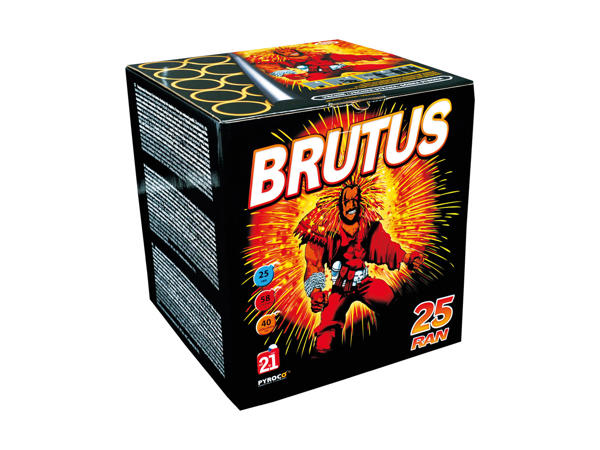 BRUTUS