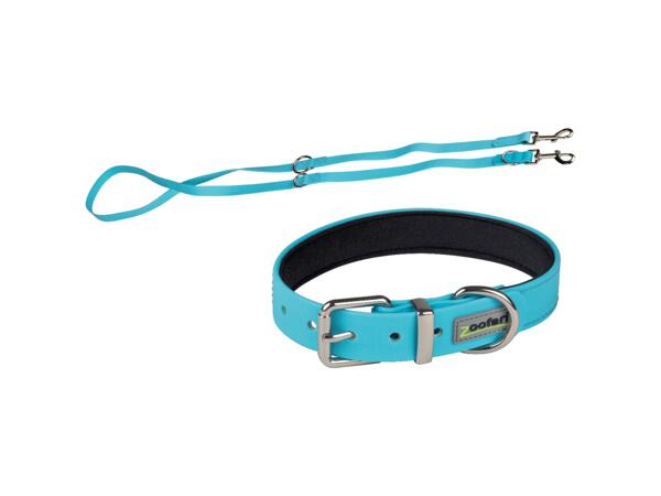 Hundhalsband och koppel
