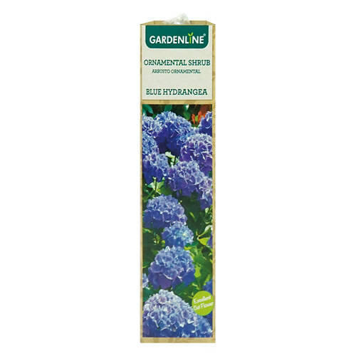 Ornamental Shrub - Assorted Varieties