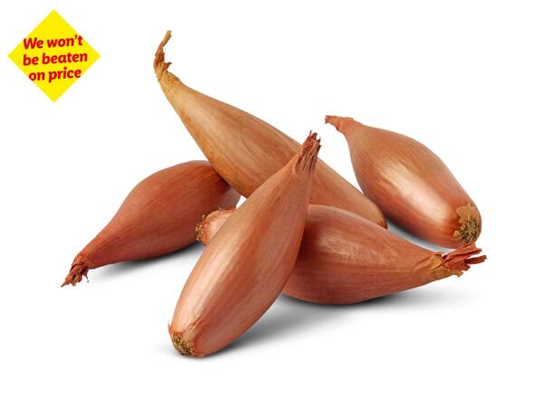 Deluxe Echalion Shallots