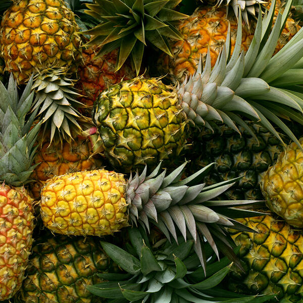 Ananas