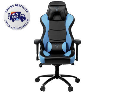 MEDION(R) 
 ERAZER(R) X89018 GAMING SESSEL
