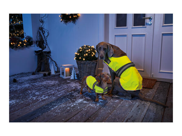 Zoofari Light-Up Dog Coat