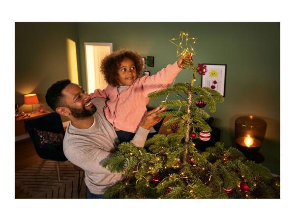 Livarno Home LED Christmas Tree Topper