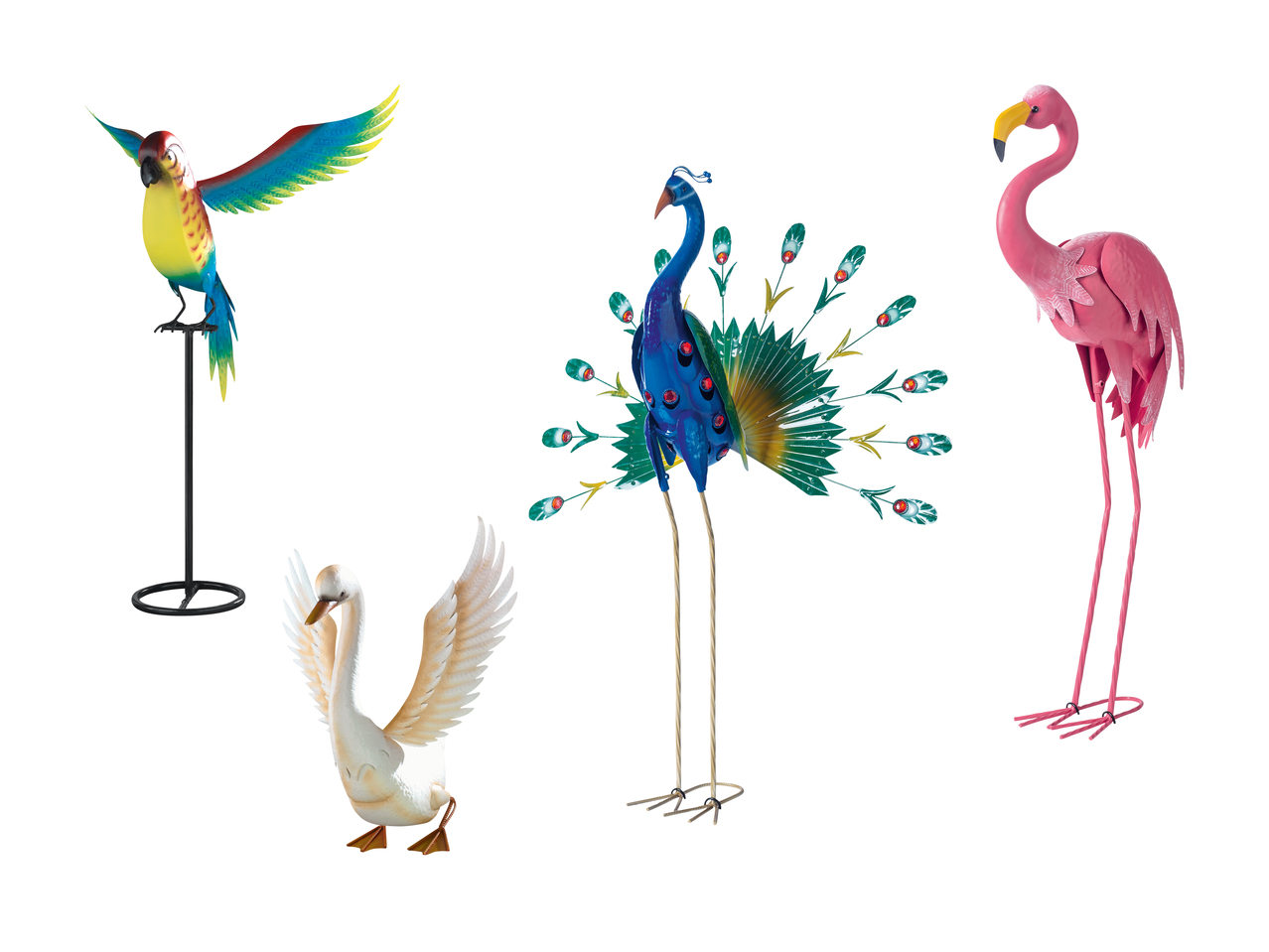 Oiseau décoratif