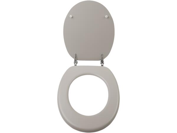Toilet Seat