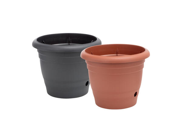 Plant Pot