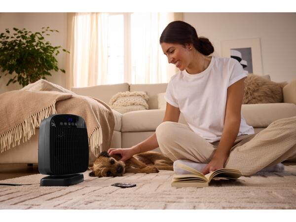 Fan Heater