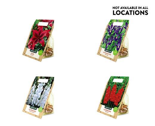 Gardenline 
 Spring Bulbs Assorted Varieties