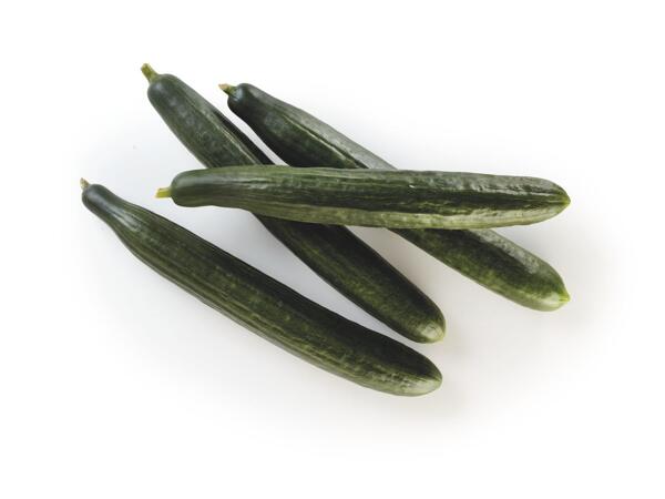 Dutch Cucumbers