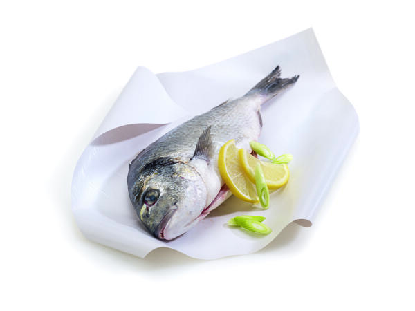 Frische ganze Dorade