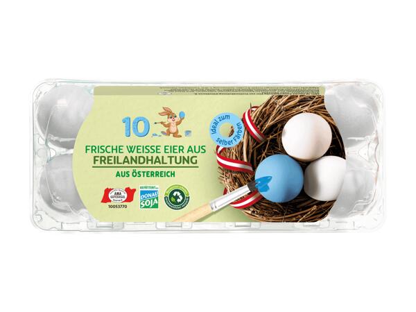 10 weiße Eier aus Freilandhaltung